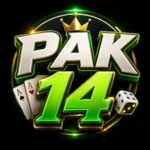 pak14-game
