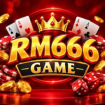 rm666-game